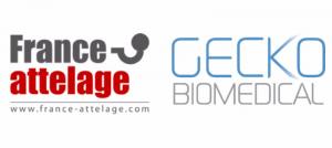 Entrepôt Lille : France Attelage et Gecko Biomedical s’installent à Roncq