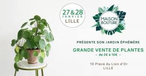 Commerce Lille : Maison Bouture investit le Vieux Lille pour sa grande vente de plantes