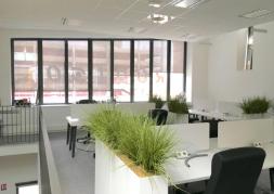 Location Bureaux Lille Euratechnologies : Le Black Hat