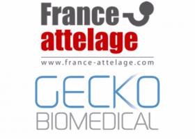 Entrepôt Lille : France Attelage et Gecko Biomedical s’installent à Roncq