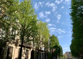 Vente Bureaux Lille Vente Bureaux Lille