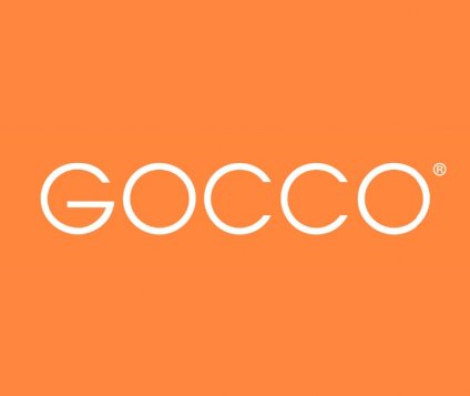 Commerce Lille : la marque de prêt-à-porter pour enfant Gocco étend son réseau en France