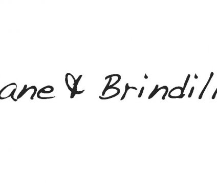 Liane & Brindille Lille : Un multi-marque indépendant rue Masurel