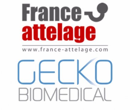 Entrepôt Lille : France Attelage et Gecko Biomedical s’installent à Roncq