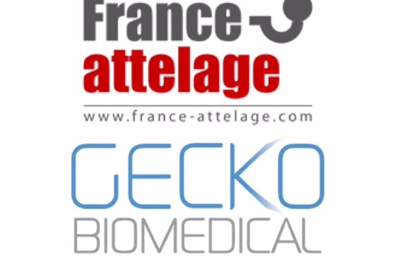 Entrepôt Lille : France Attelage et Gecko Biomedical s’installent à Roncq