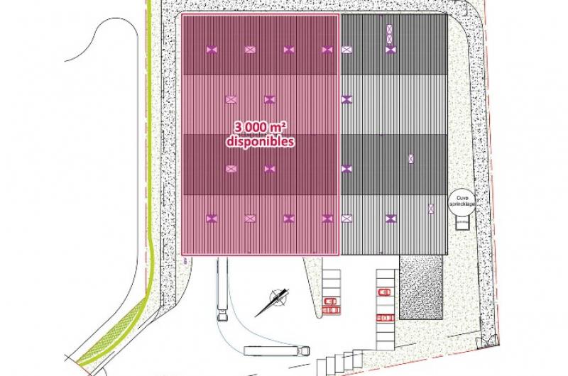 Location entrepôt Lille