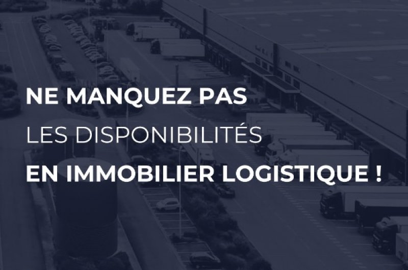 Newsletter mensuelle pour ne pas manquer les opportunités en immobilier logistique